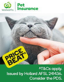 woolworths tidy cats